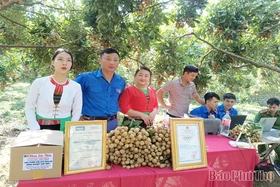 Độc đáo “phiên chợ điện tử” của thanh niên