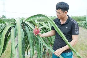 Bước chuyển tích cực trong sản xuất nông nghiệp