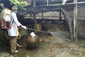 “Lá chắn” cho phòng, chống bệnh Dịch tả lợn châu Phi