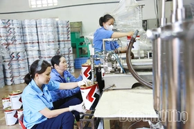 Doanh nghiệp tư nhân chủ động hội nhập quốc tế