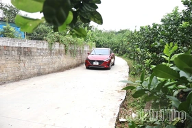 Phát triển giao thông nông thôn góp phần cải thiện đời sống người dân