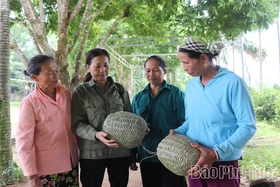 Đan cỏ tranh, trồng nha đam giúp phụ nữ thoát nghèo