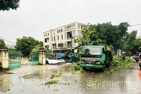 Ảnh hưởng cơn bão số 5 trên địa bàn tỉnh gây thiệt hại sơ bộ ước tỉnh 1 tỷ đồng