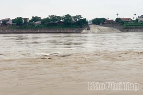 Cắt cầu phao Phong Châu do mưa lớn kéo dài