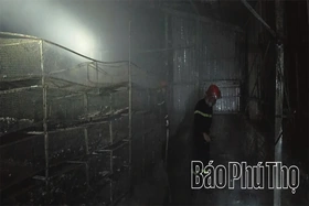 Chập điện gây cháy cơ sở chăn nuôi chim cút tại xã Vĩnh Hưng