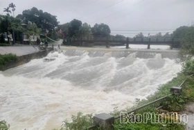 Thiệt hại do bão số 5 trên địa bàn tỉnh: Ước tính ban đầu khoảng 1 tỷ đồng