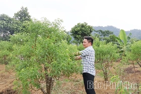 Đổi thay ở Kim Bắc