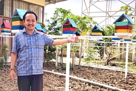 Nuôi ong dú - nghề mới, lợi cao