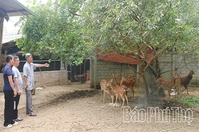 Người có uy tín dân tộc Cao Lan làm kinh tế giỏi