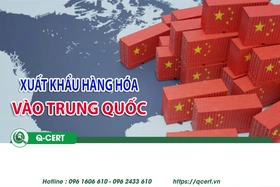 Đăng ký mã GACC: Hướng dẫn đầy đủ cho doanh nghiệp xuất khẩu nông sản