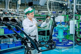 Doanh nghiệp sản xuất xanh, bảo vệ môi trường bền vững