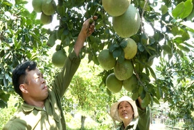 Khai thác tiềm năng, lợi thế, đưa Thu Cúc phát triển toàn diện và bền vững