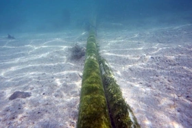 Đứt cáp quang ở Biển Đỏ gây gián đoạn Internet tại châu Á và Trung Đông