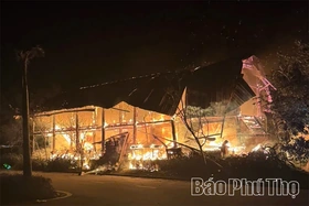 Kịp thời dập tắt đám cháy tại Khu du lịch Vườn Vua, xã Tu Vũ