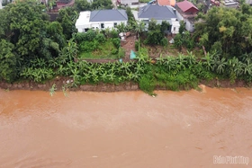Phú Thọ: Công bố tình huống khẩn cấp về sạt lở bờ, vở sông Thao