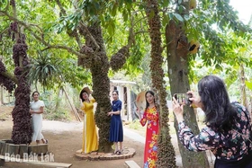 Hiệu quả kinh tế từ du lịch nông nghiệp