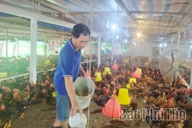 Bảo đảm nguồn cung thực phẩm dịp cuối năm