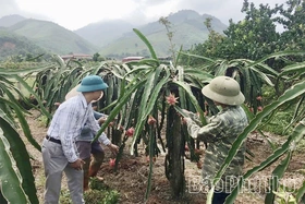 Đảng bộ xã Yên Lập phát huy vai trò lãnh đạo, tạo nền tảng cho phát triển bền vững