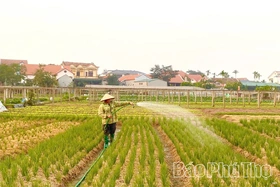 Phát huy vai trò chủ lực của doanh nghiệp thủy lợi trong phát triển nông nghiệp hiện đại
