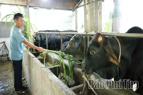 Hiệu quả vốn tín dụng chính sách vùng đồng bào dân tộc thiểu số