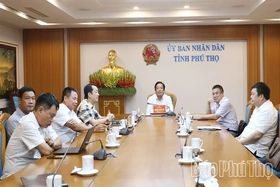 Rà soát tình hình triển khai Quy hoạch điện VIII điều chỉnh