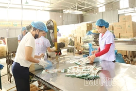 Xây dựng thương hiệu, nâng cao giá trị sản phẩm OCOP