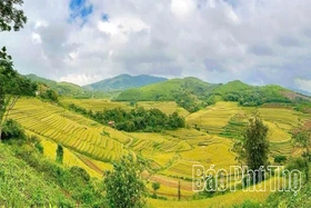 Thượng Cốc hiện thực hóa mục tiêu xây dựng xã đạt chuẩn Nông thôn mới