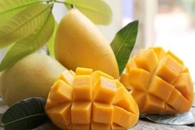 5 loại trái cây nên tránh nếu bị acid uric cao