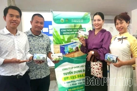 Đánh thức nguồn dược liệu quý