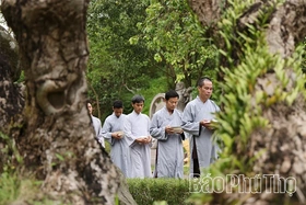 Vãn cảnh Thiền viện Trúc Lâm Tuệ Đức