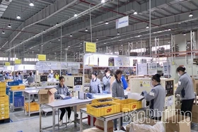 Nhiều lĩnh vực tăng trưởng tích cực