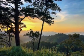 Phát triển du lịch dưới tán rừng