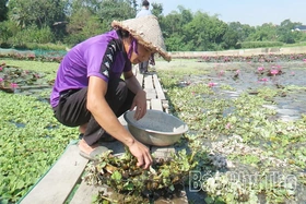 Nông dân thi đua sản xuất kinh doanh giỏi