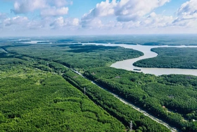 Tại sao Vinhomes Green Paradise Cần Giờ hút mạnh giới đầu tư?