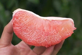 5 món ăn ngon từ bưởi giúp giảm cân