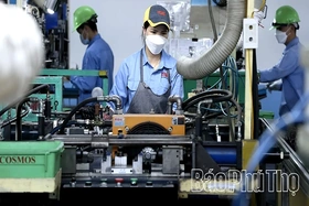 Toàn tỉnh có 3.800 doanh nghiệp đăng ký thành lập mới