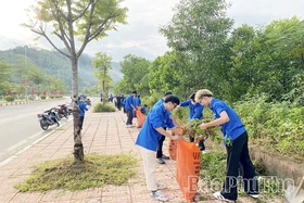 Tuổi trẻ phường Hòa Bình xung kích, tình nguyện