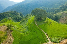 Dreamy Mung Hamlet, Cao Phong Commune