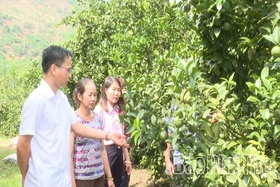 Xã Tân Sơn nỗ lực giảm nghèo bền vững