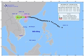 Bão số 9 (Ragasa) giật cấp 11, cách Móng Cái (Quảng Ninh) khoảng 170km