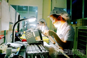 “Chuyển đổi xanh” - động lực phát triển bền vững