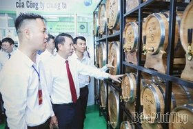 Công ty Hải Minh Anh: Khai trương và giới thiệu sản phẩm mới