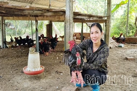 Nữ Bí thư chi đoàn năng động, làm kinh tế giỏi