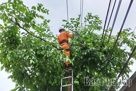 Công ty Điện lực Phú Thọ cảnh báo an toàn điện trước diễn biến bão số 10