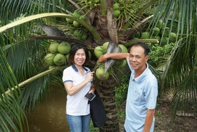 Độc đáo dự án “Cây dừa cho bạn – Tấm lòng trao đi”