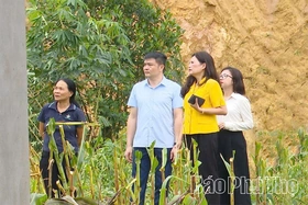 Thanh Ba nhanh chóng khắc phục hậu quả mưa bão