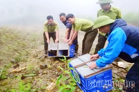 Tái thả động vật hoang dã vào Vườn Quốc gia Tam Đảo