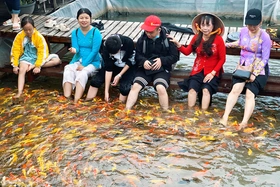 Độc lạ sản phẩm du lịch từ những vật nuôi miệt vườn sông nước