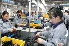 Công ty TNHH Cap Global: Vững bước từ cải tiến quản lý đến chăm lo con người