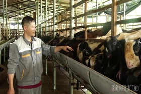 Đổi mới tư duy để thoát nghèo